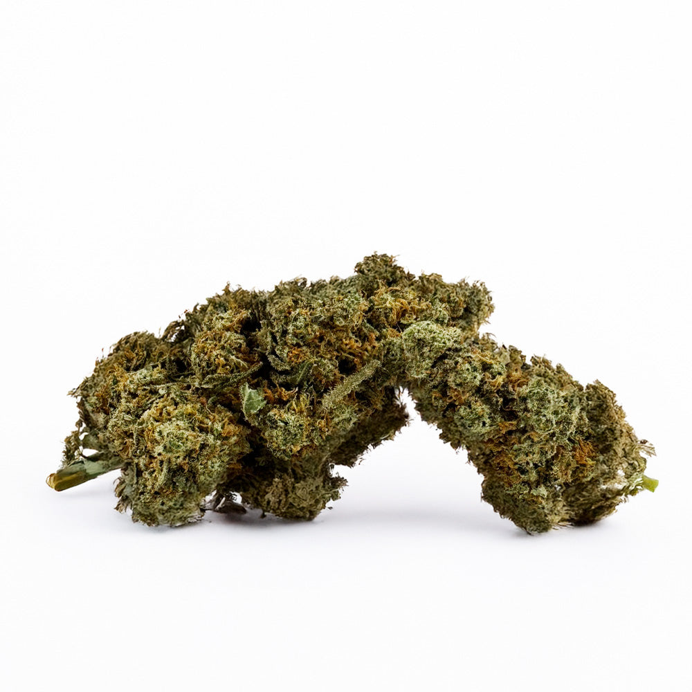 Amnesia JSH B1 CBD - Indoor