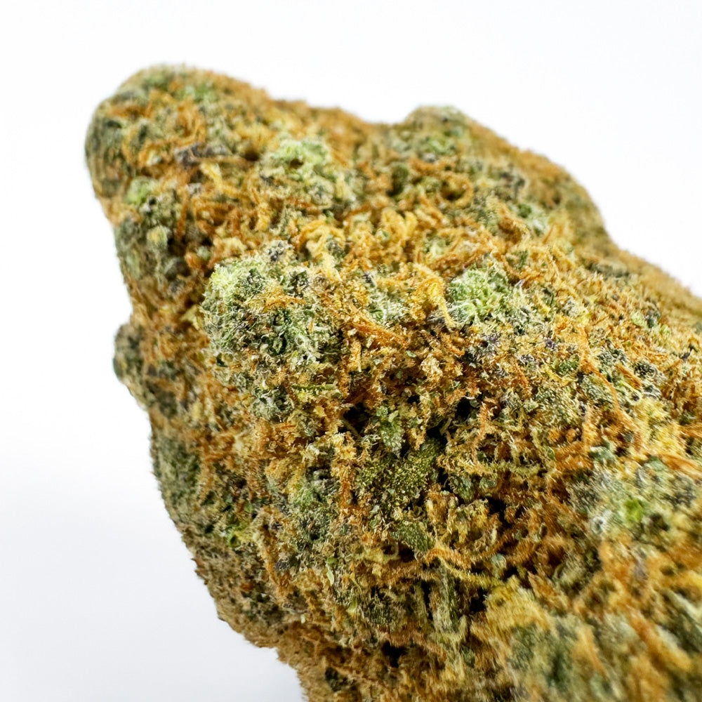 Cali Muffin - Hydroponique Cali