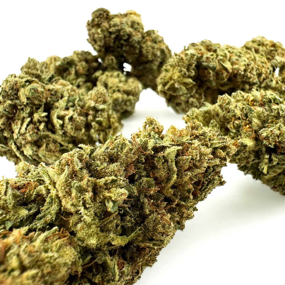 Gasolina CBD - Indoor