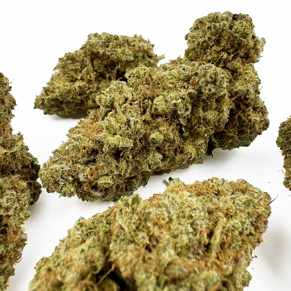 Gushers CBD - Indoor — photo 4