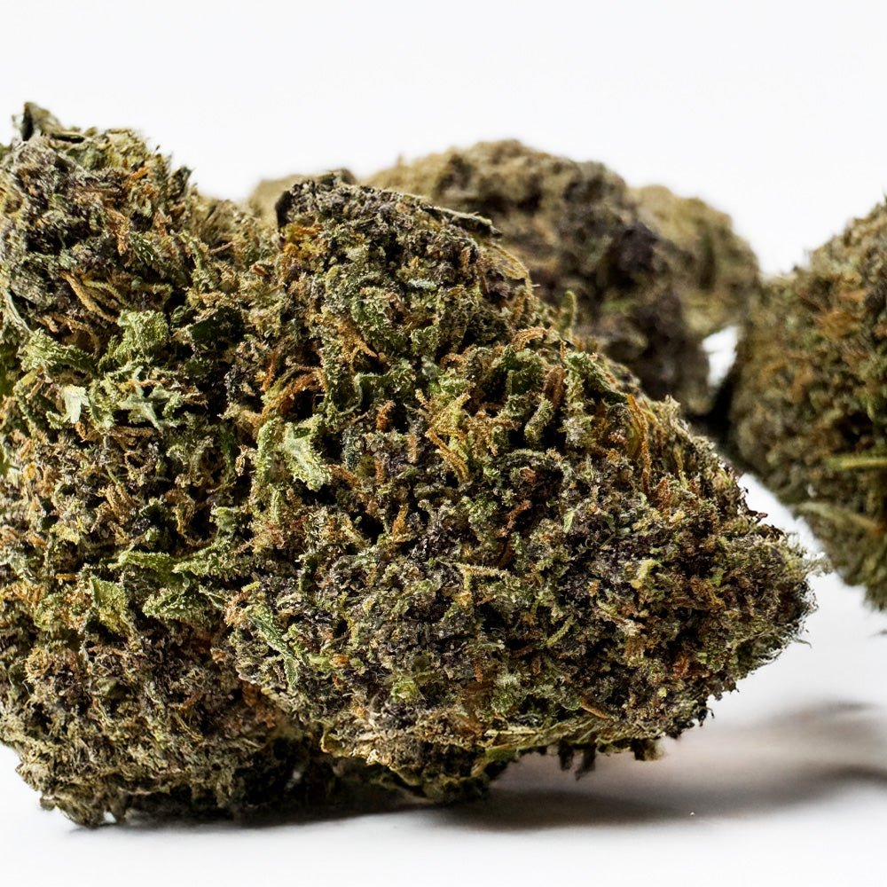 Legendary Platinium - Hybride USA