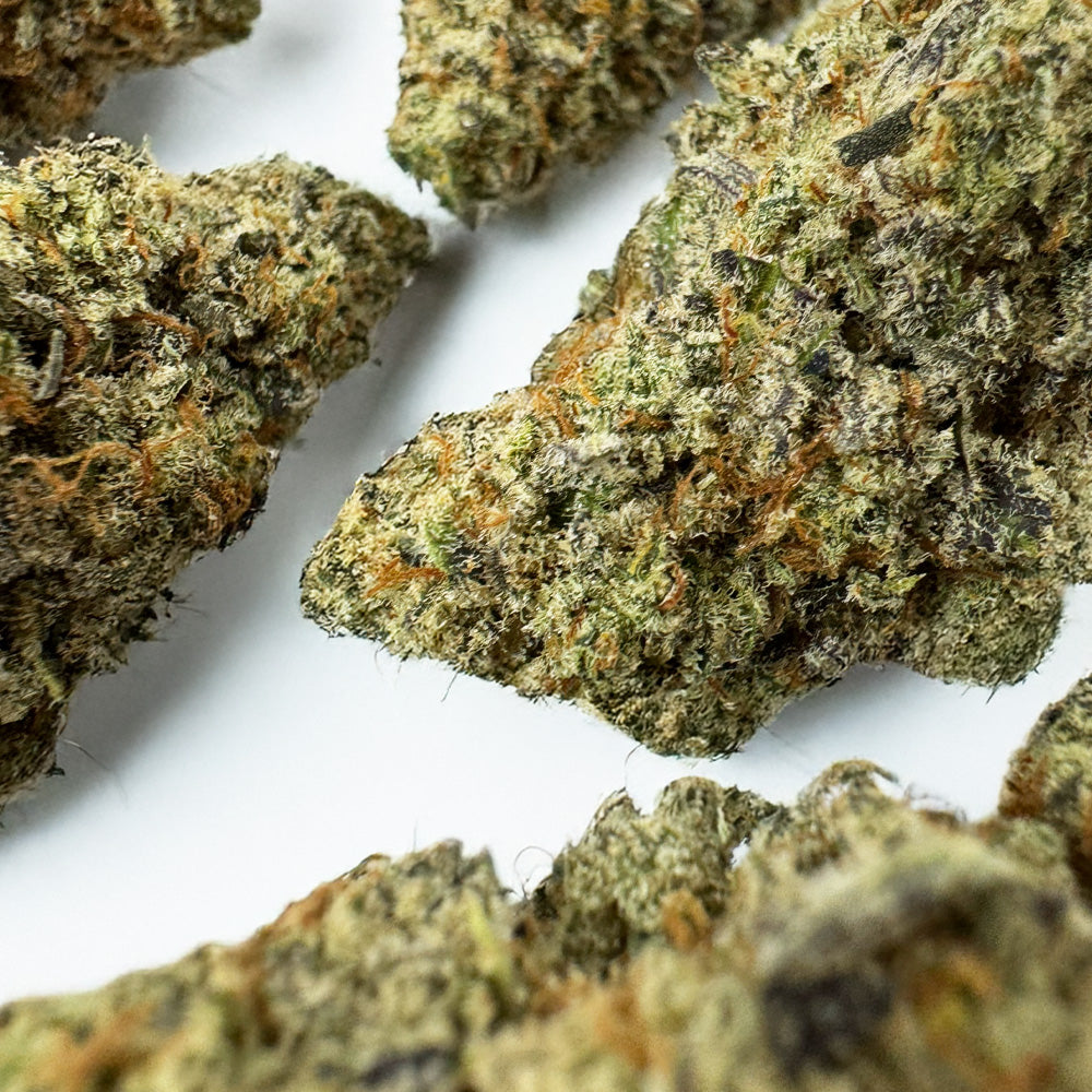 Malabar X Zoap CBD - Indoor