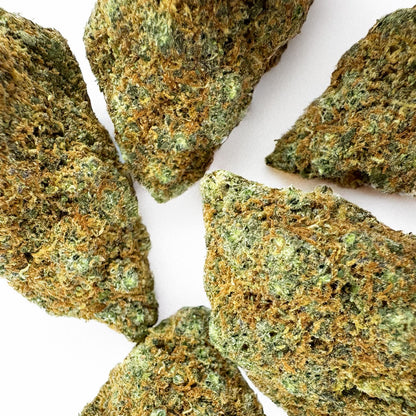 Cali Muffin - Hydroponique Cali