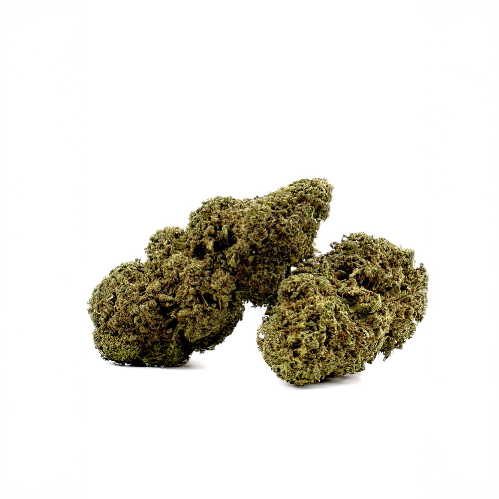 Candy Melon - Glasshouse