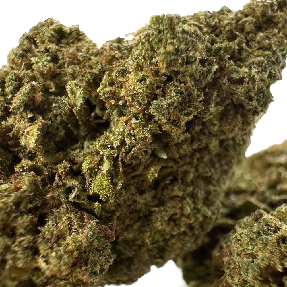 Candy Melon - Glasshouse