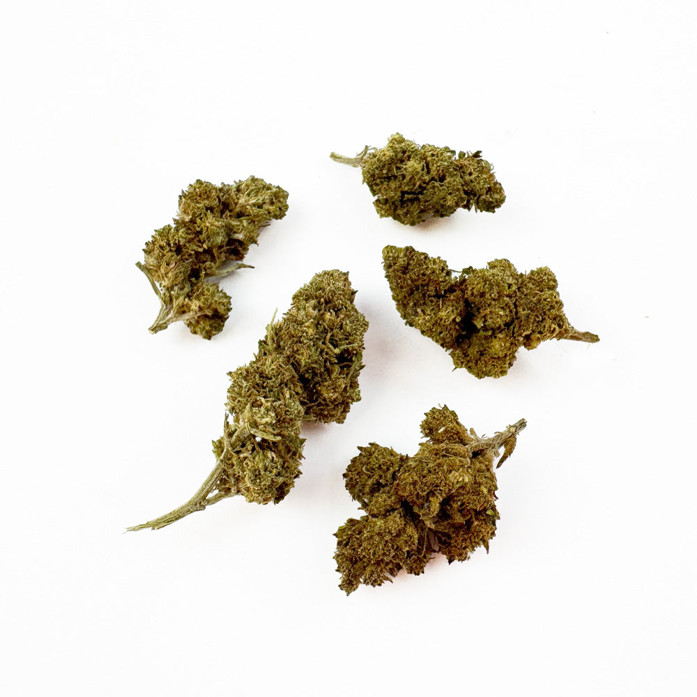 Small buds Berry - Greenhouse — photo 1