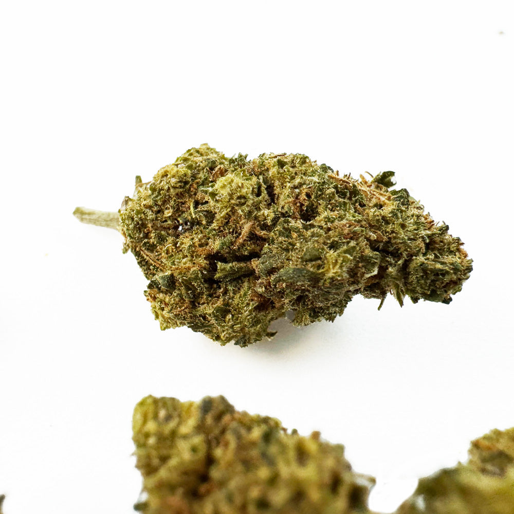 Small buds Berry - Greenhouse — photo 2