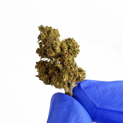 Small buds Berry - Greenhouse — photo 3