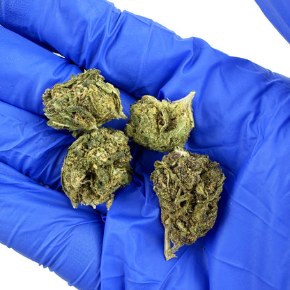 Small buds Lemon Haze - Greenhouse — photo 3