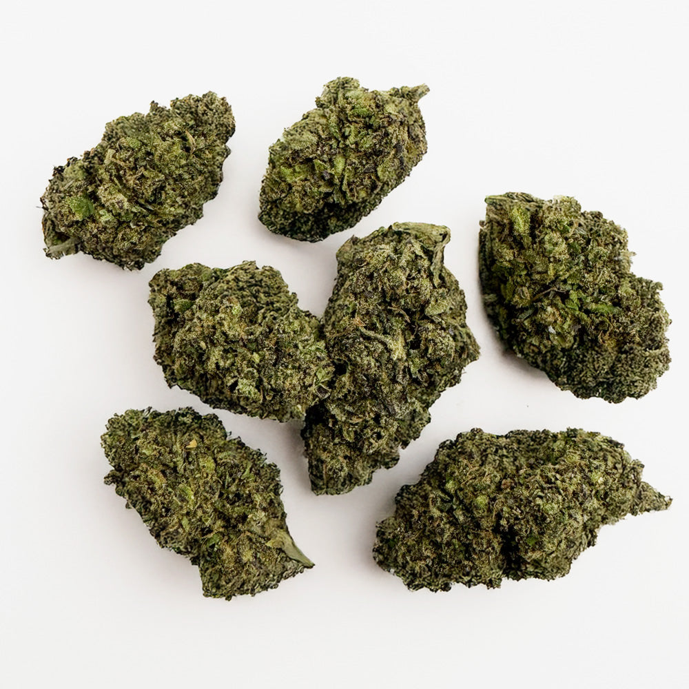 Gelato #41 - Indoor USA