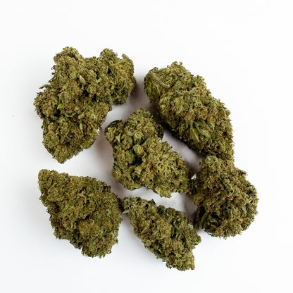 Harley Queen - Glasshouse