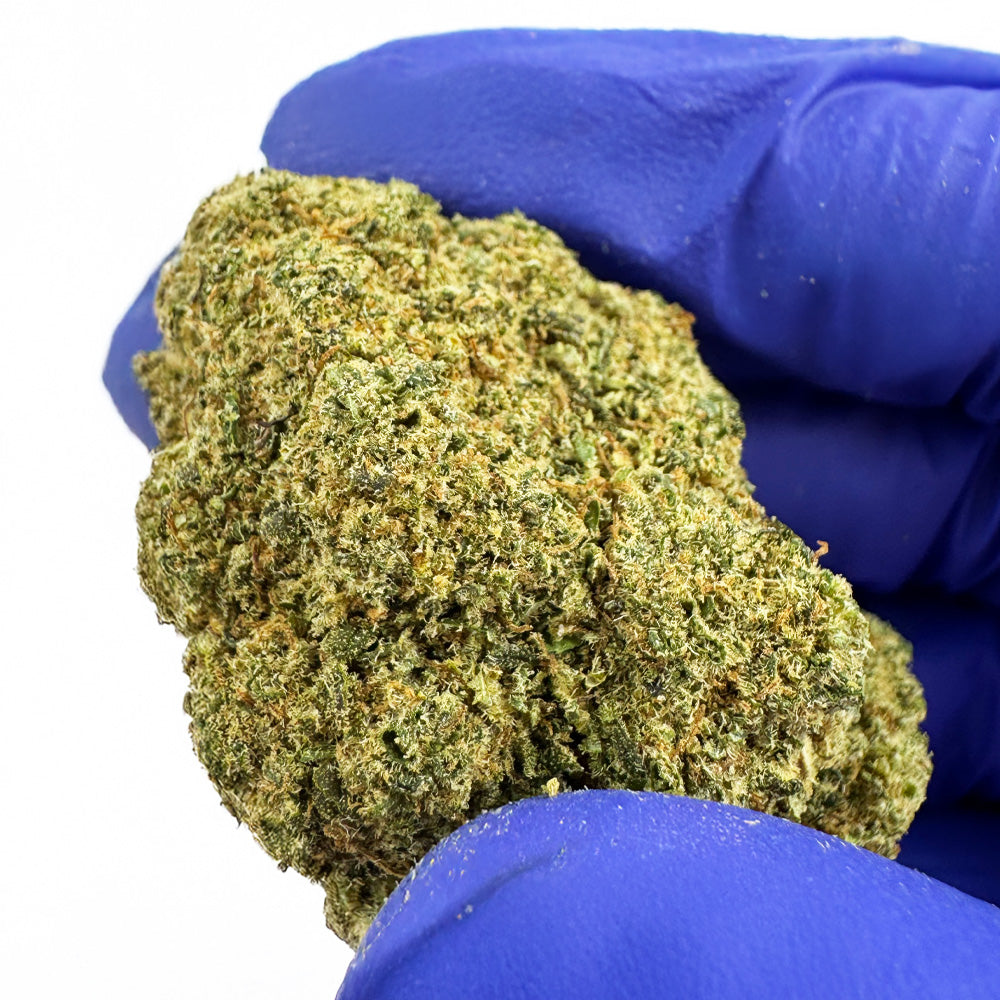 Ice Cream Cake CBD - Hydroponique Cali