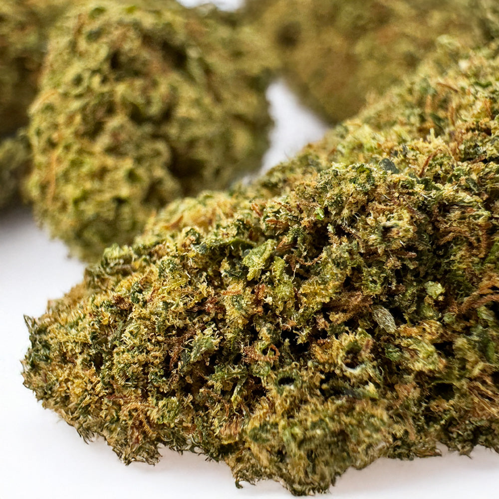 Juicy - Hybride USA