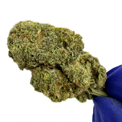 Malabar CBD - Indoor