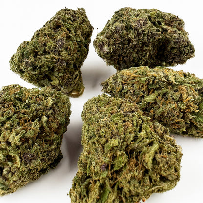 Purple Snowman - Hybride USA