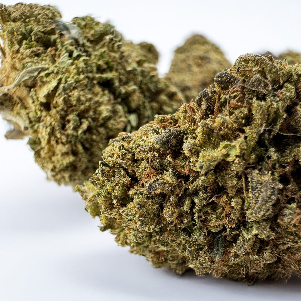 Royal OG - Hybride USA