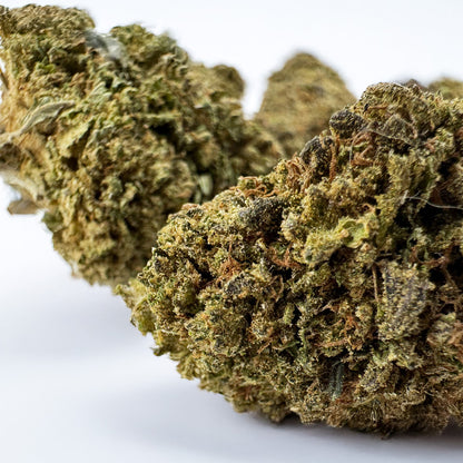 Royal OG - Hybride USA