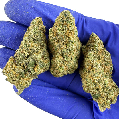 Sunset Sherbert CBD - Indoor