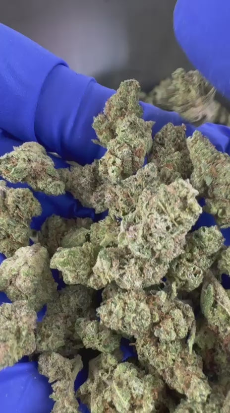 Charger la vidéo: Vidéo de présentation des Small Buds Apple Pie CBD Indoor