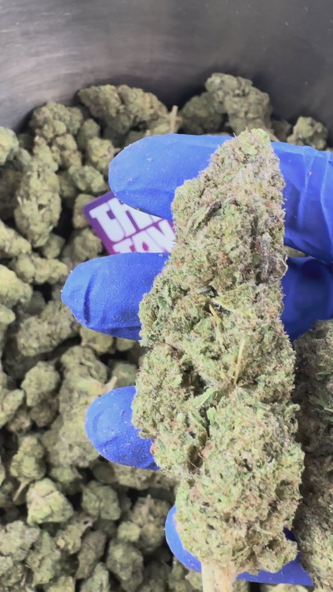 Charger la vidéo: Zoap CBD - Indoor — vidéo de présentation