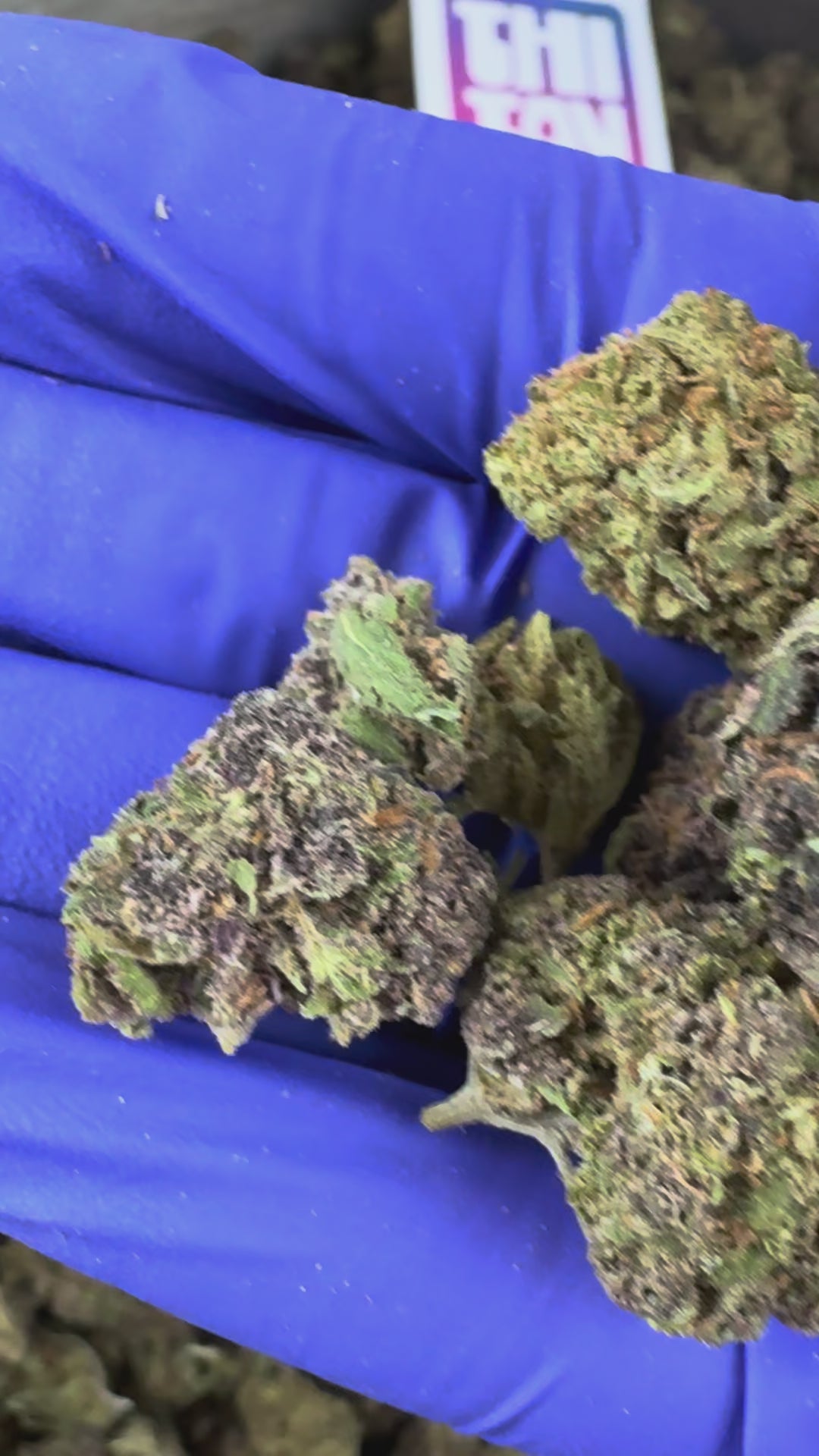 Charger la vidéo: Vidéo de présentation du Ice-O-Lator 40% CBD