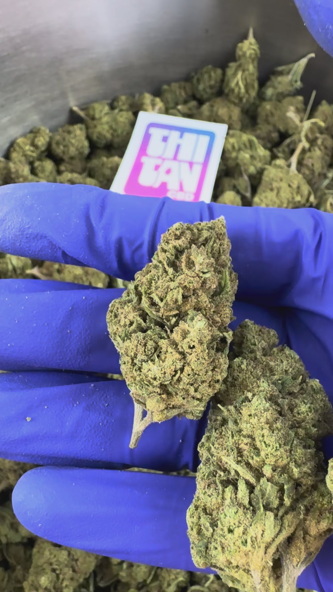 Charger la vidéo: Vidéo de présentation du Ice-O-Lator 40% CBD