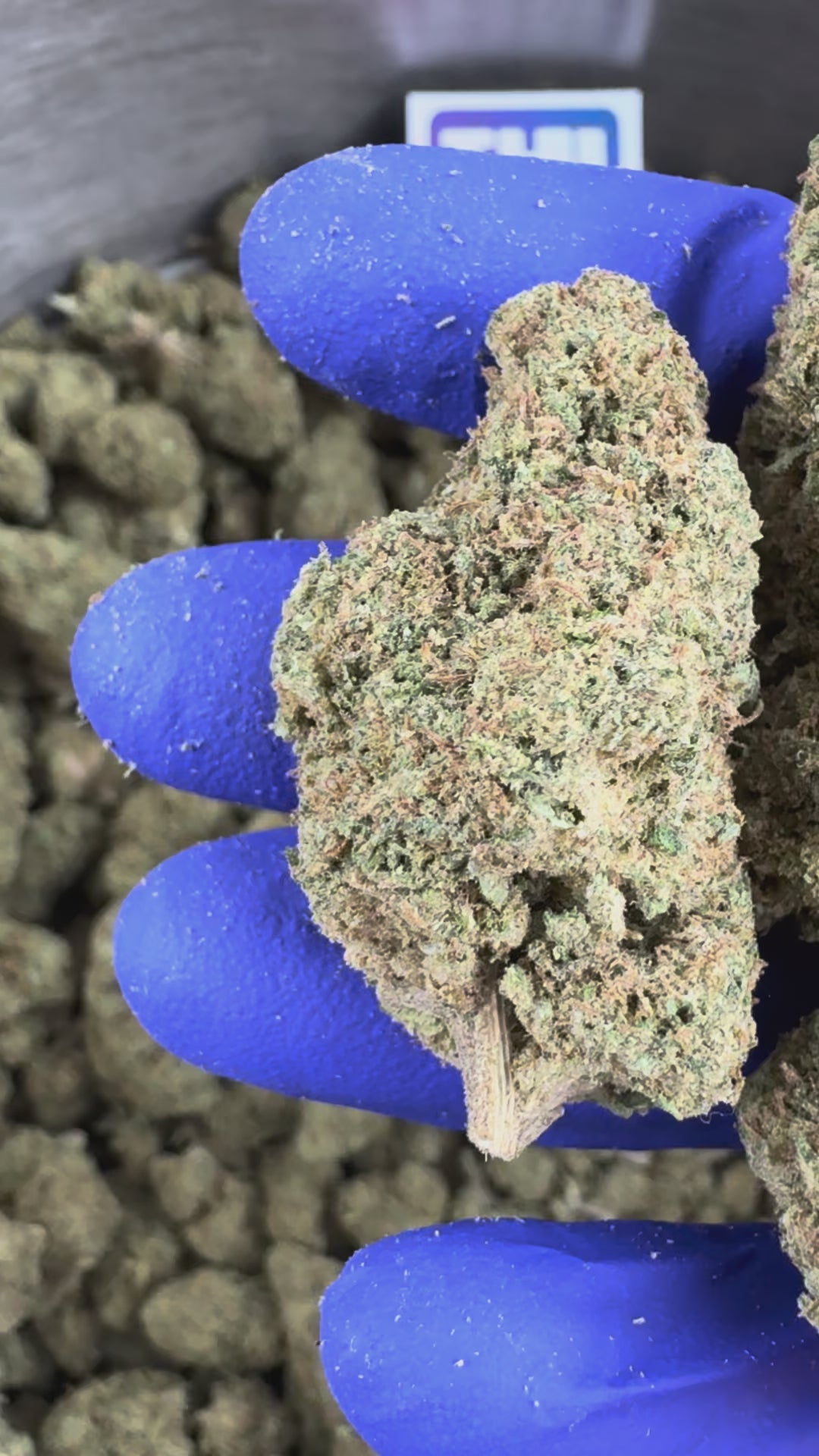 Charger la vidéo: Vidéo de présentation du Ice-O-Lator 40% CBD