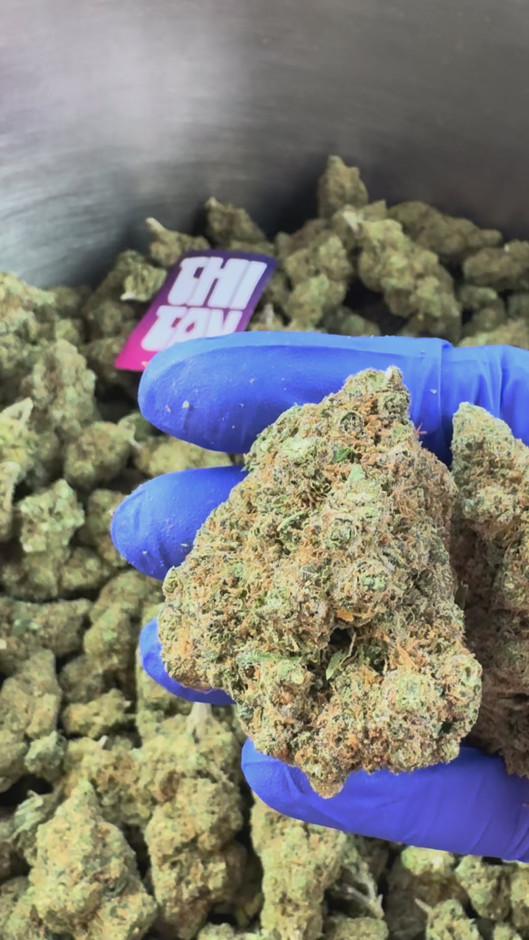 Charger la vidéo: Wedding Cake HQxCT CBD - Indoor — vidéo de présentation